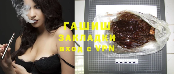 гашик Алексин