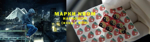 гашик Алексин