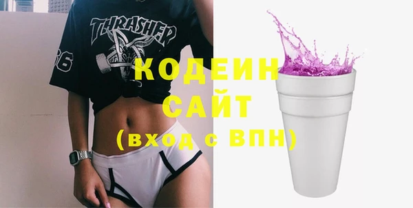 гашик Алексин