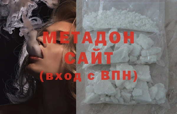 гашик Алексин