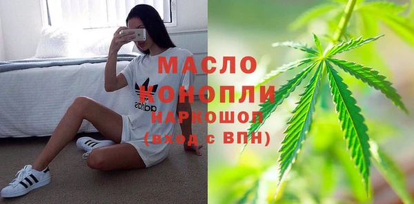 гашик Алексин