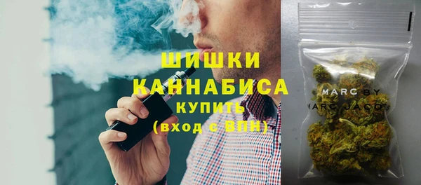ПСИЛОЦИБИНОВЫЕ ГРИБЫ Алексеевка