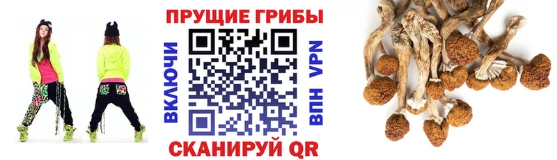 Галлюциногенные грибы мухоморы Ревда